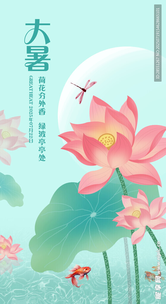 大暑时节荷花绽放图景