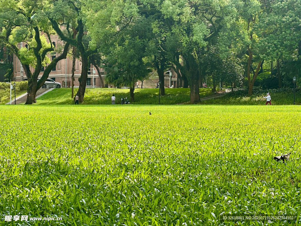 中山大学绿意盎然的公园草地