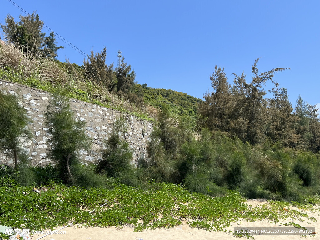 山坡绿植与蓝天景观