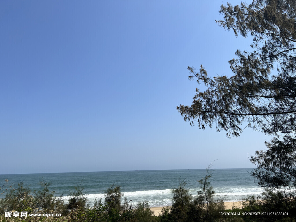 海边景致 绿树蓝天与碧海