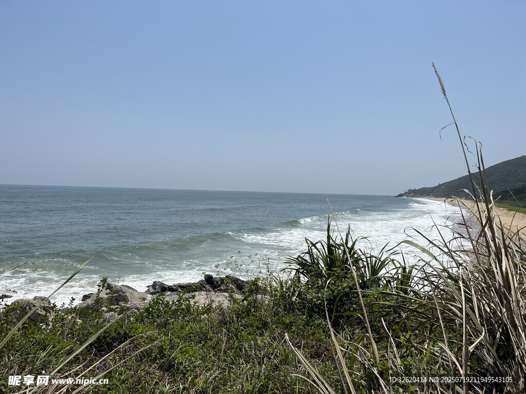 海边景致 绿植与海浪相伴