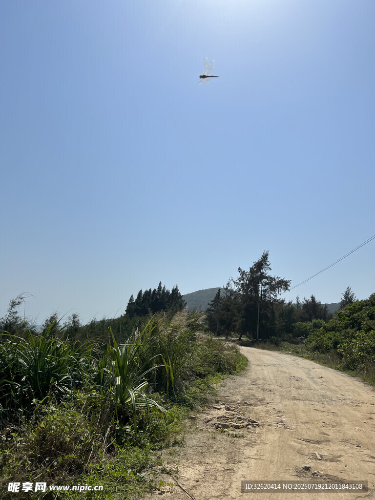 乡间土路 蓝天风筝伴绿植