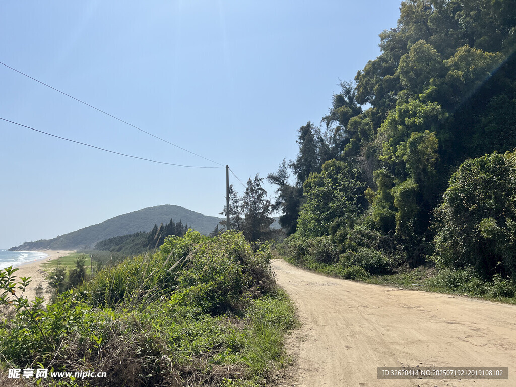 山间土路 自然清新景致