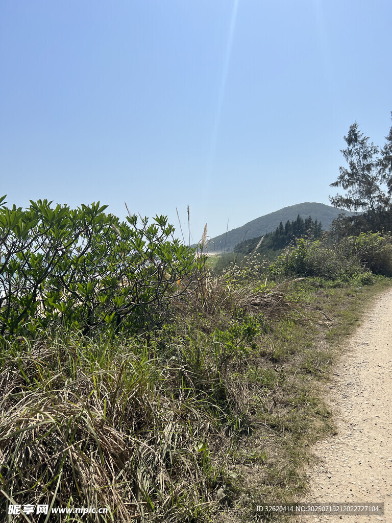 山间小径 绿意盎然的风景