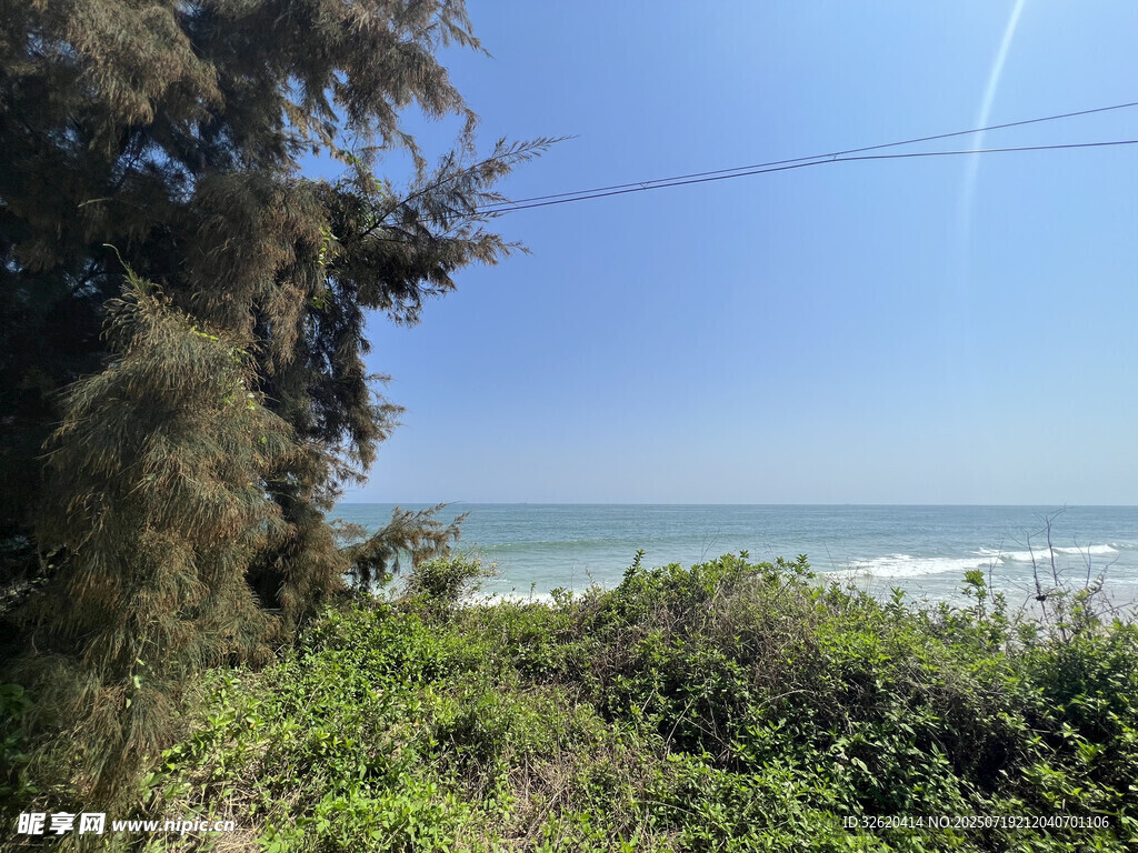 海边绿植间的晴朗海景