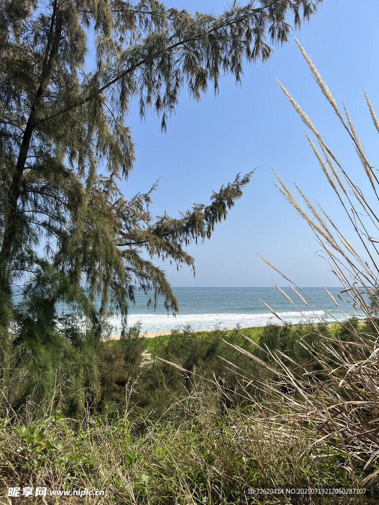 海边葱郁植被与广阔海景