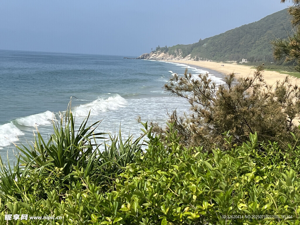 海滨美景 绿植点缀海岸线