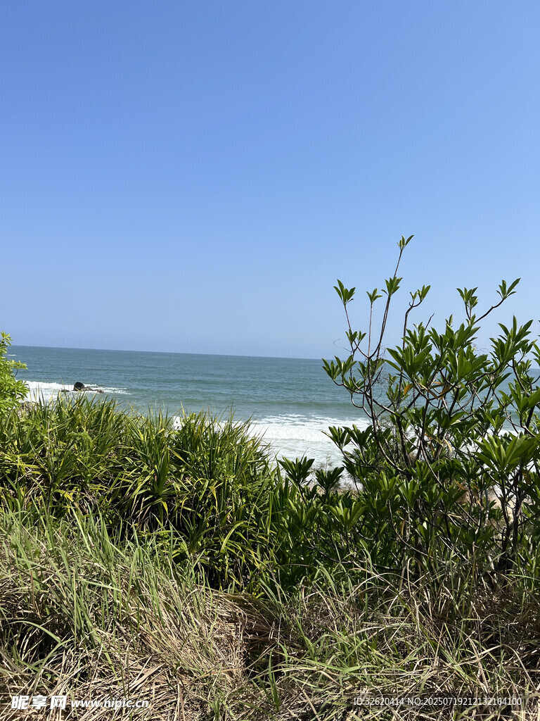 海边绿植与蔚蓝大海景观