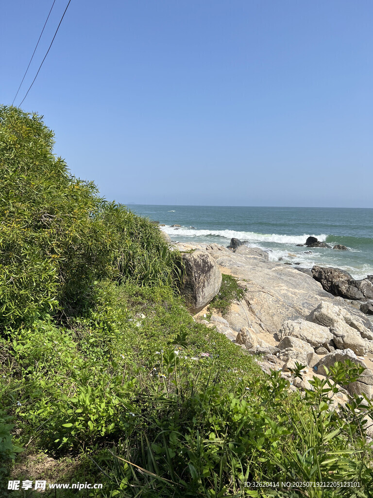 海岸边的绿植与礁石景观