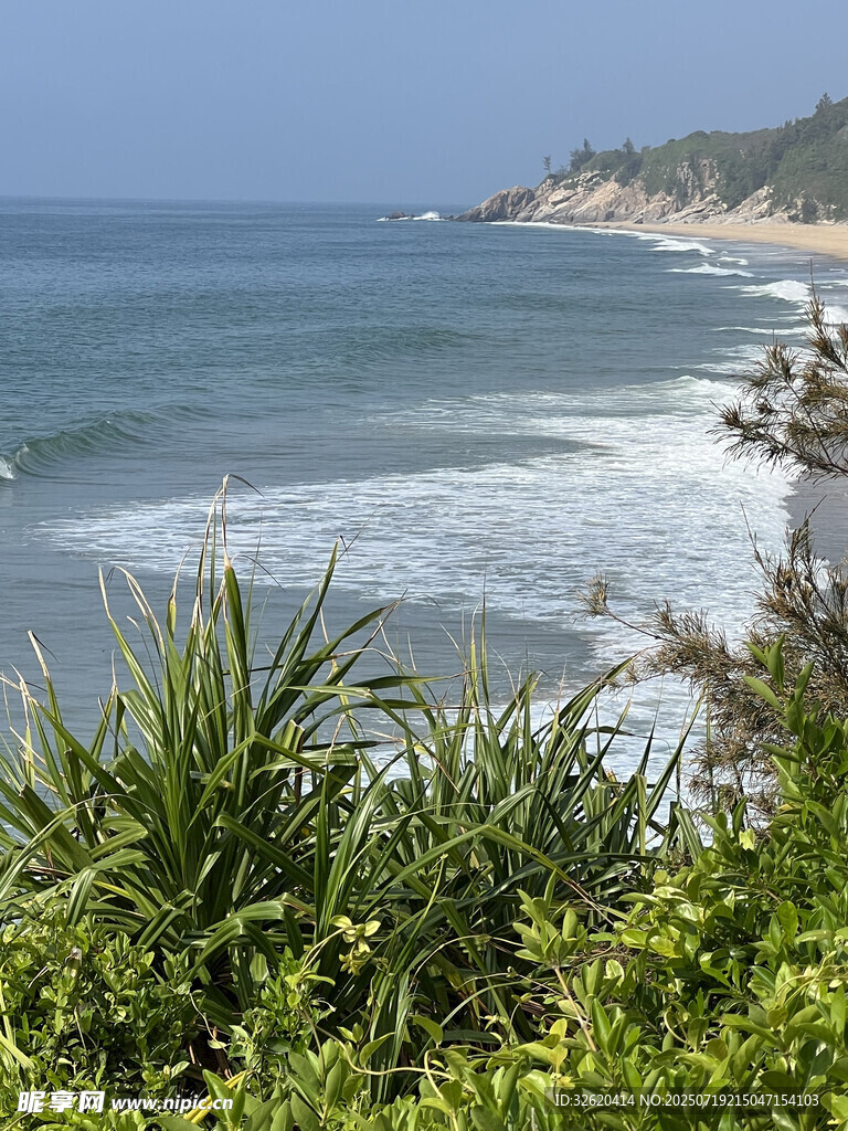 海岸绿植与海浪景观