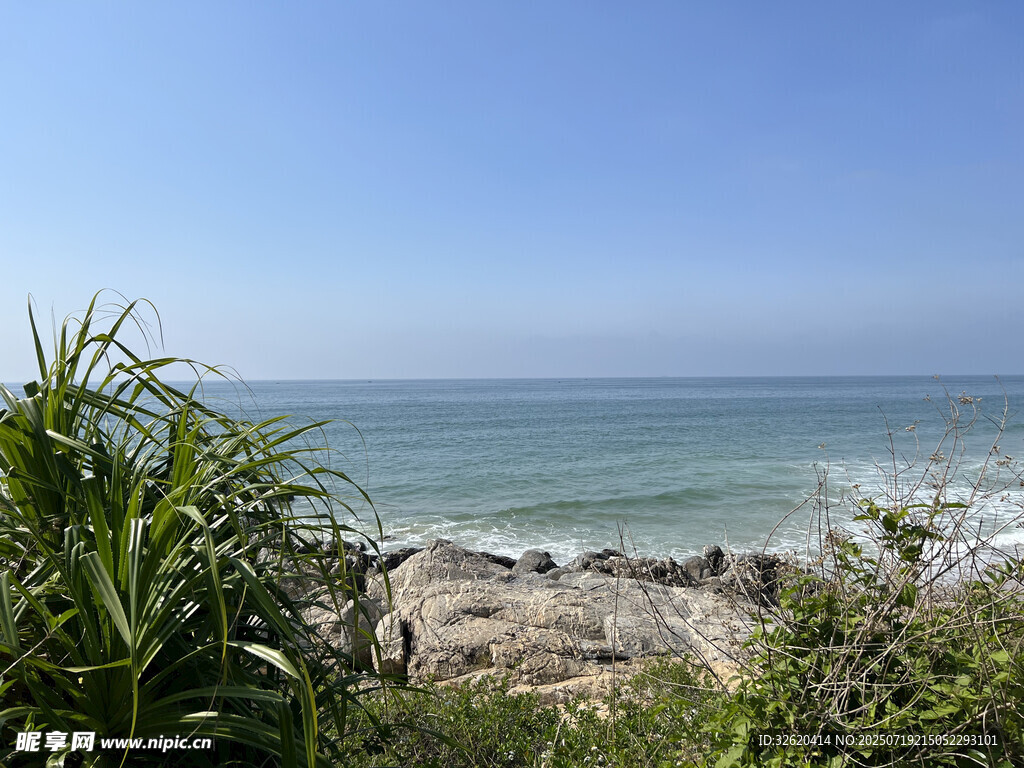 海边绿植与蔚蓝大海景观