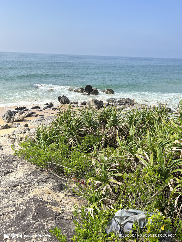 海岸边的绿植与海浪景观