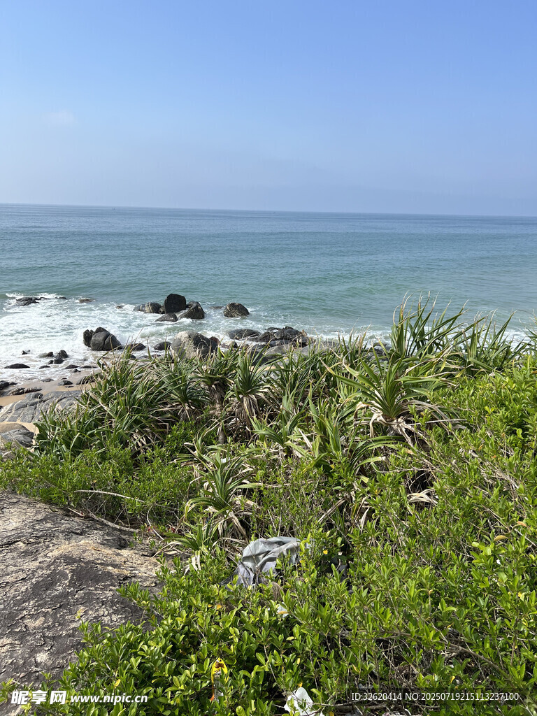 海岸边的绿植与辽阔大海