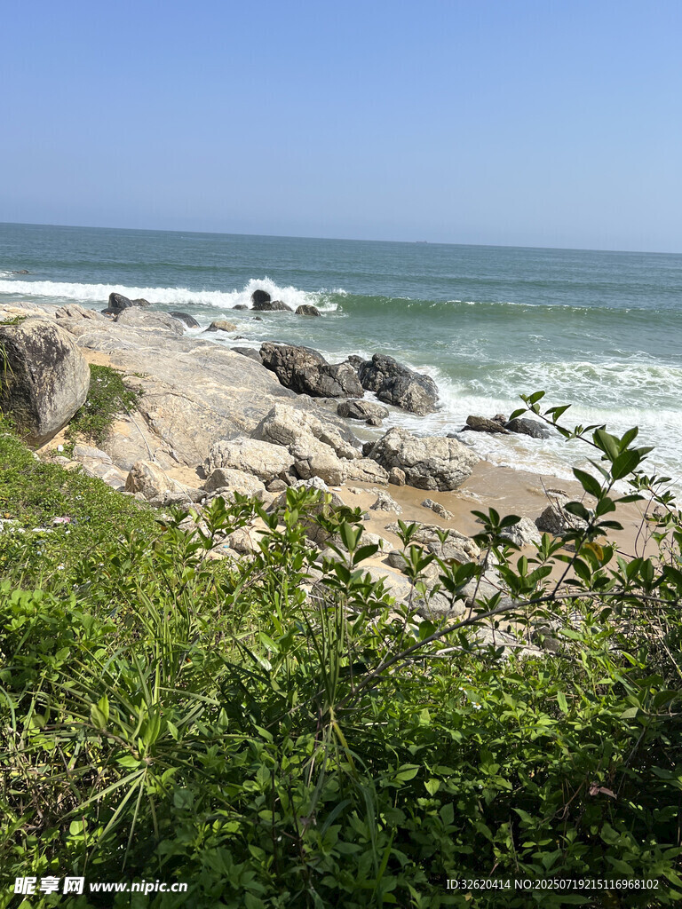 海边绿植与海浪风景
