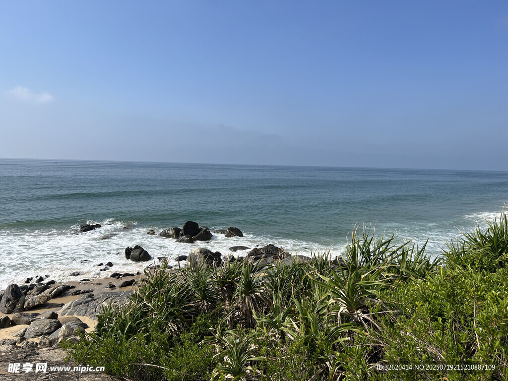 海边风光 绿植与海浪交织