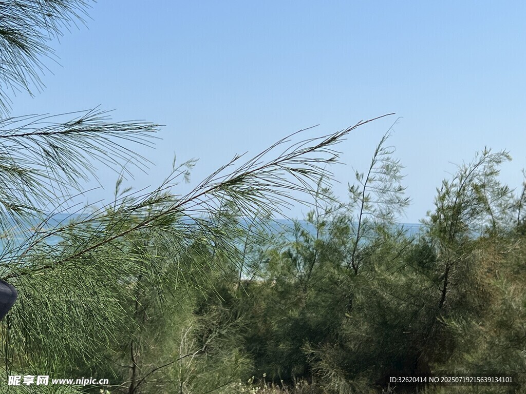 海边葱郁植被与蓝天景致