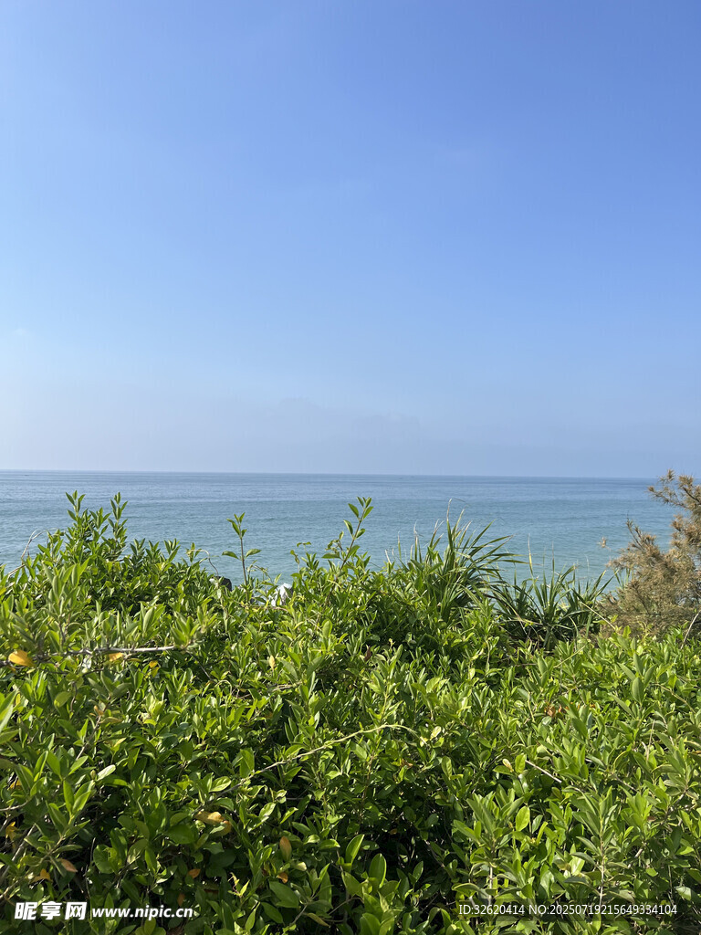 海边绿植与广阔蓝天美景