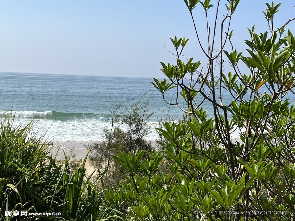 海边绿植与海浪景致