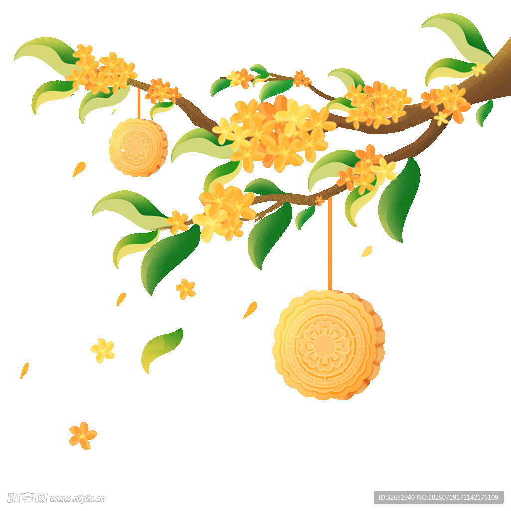 枝头挂金桂秋意正浓
