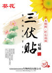 三伏贴宣传海报