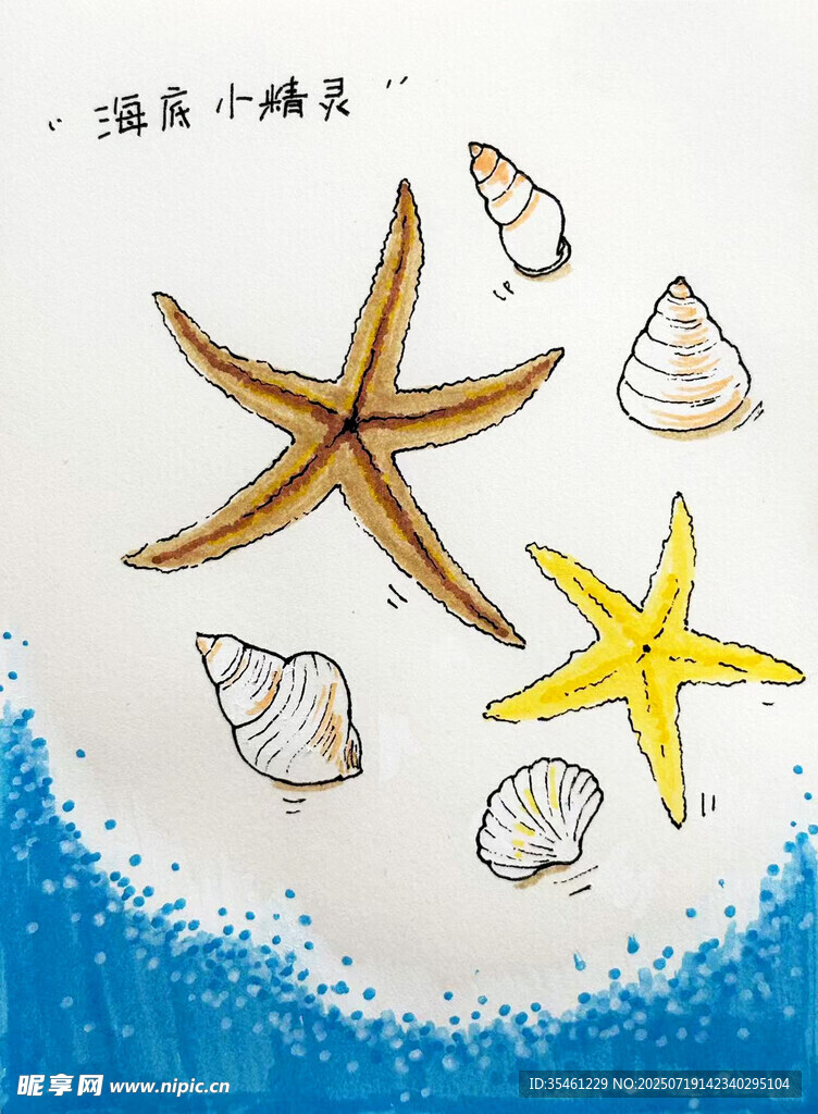 手绘海星与贝壳插画