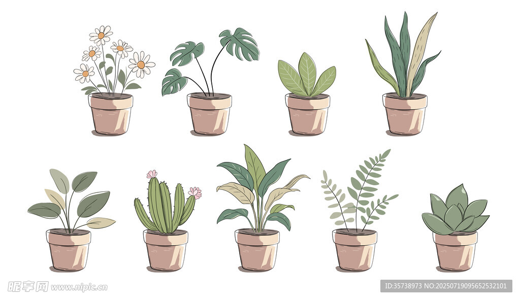 盆栽花卉插图