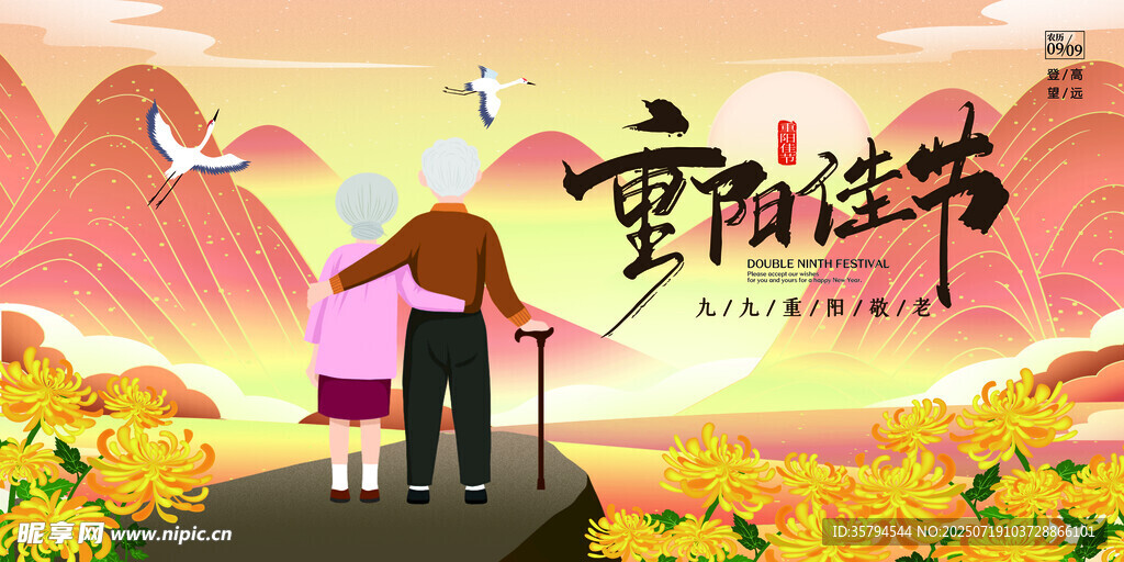 重阳佳节伴亲赏菊美景