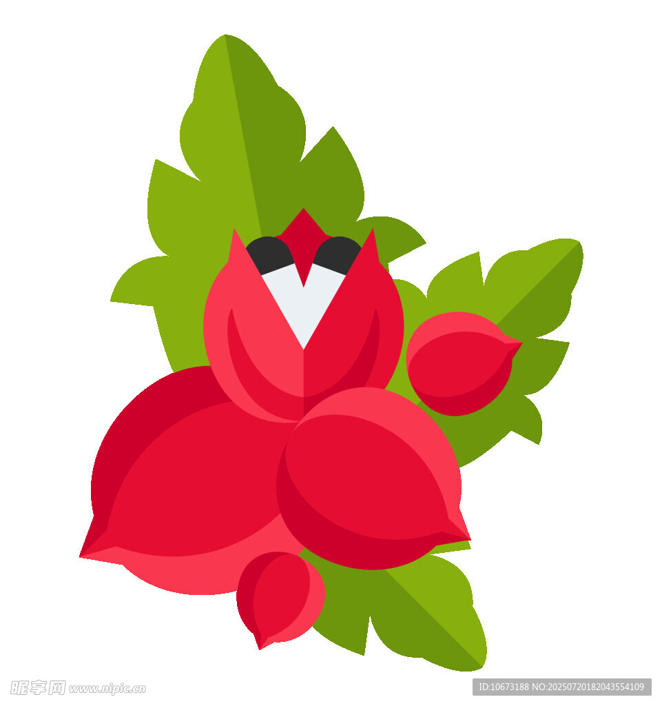 红色花朵配绿叶与果实