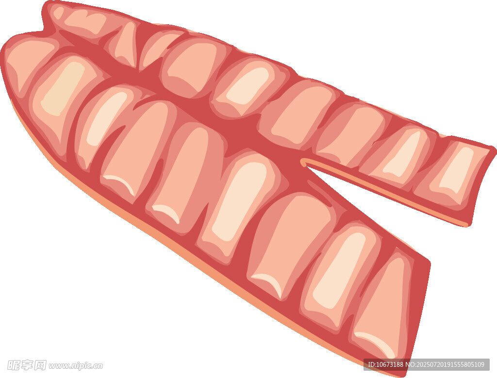 两片鲜嫩培根肉