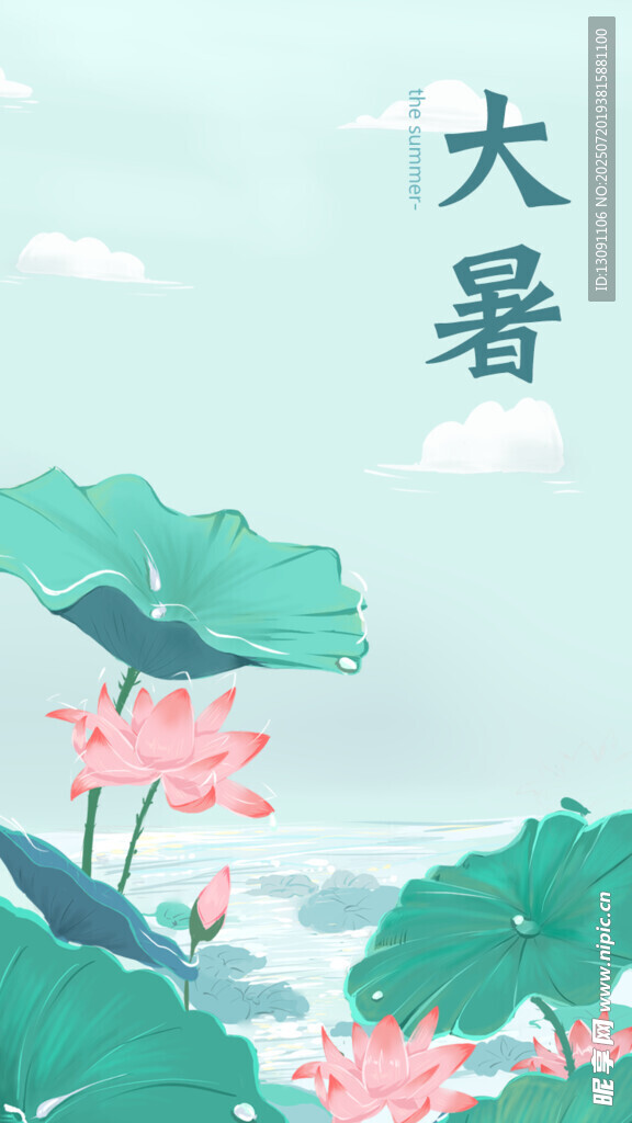 大暑时节荷花绽放图景