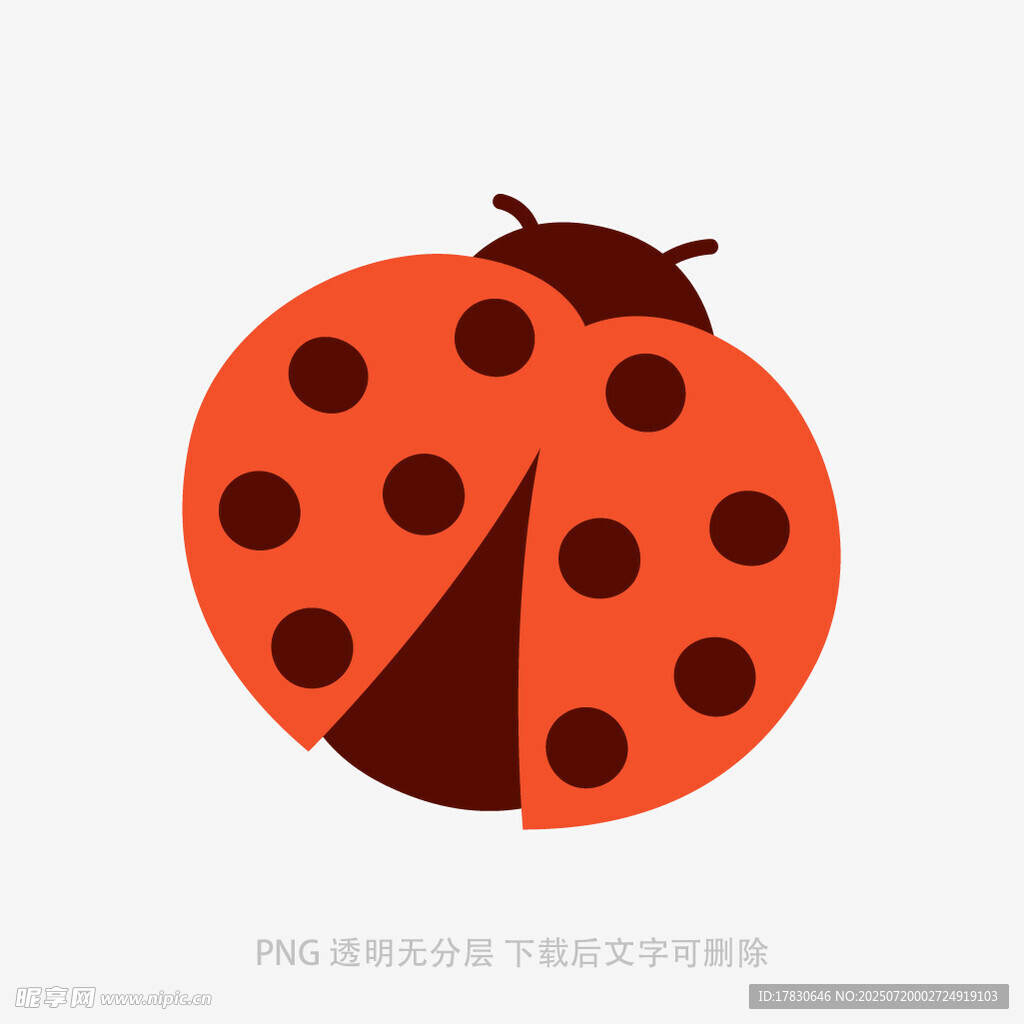可爱瓢虫插画