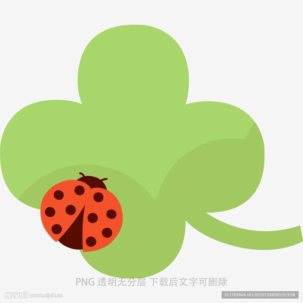 三叶草上的瓢虫