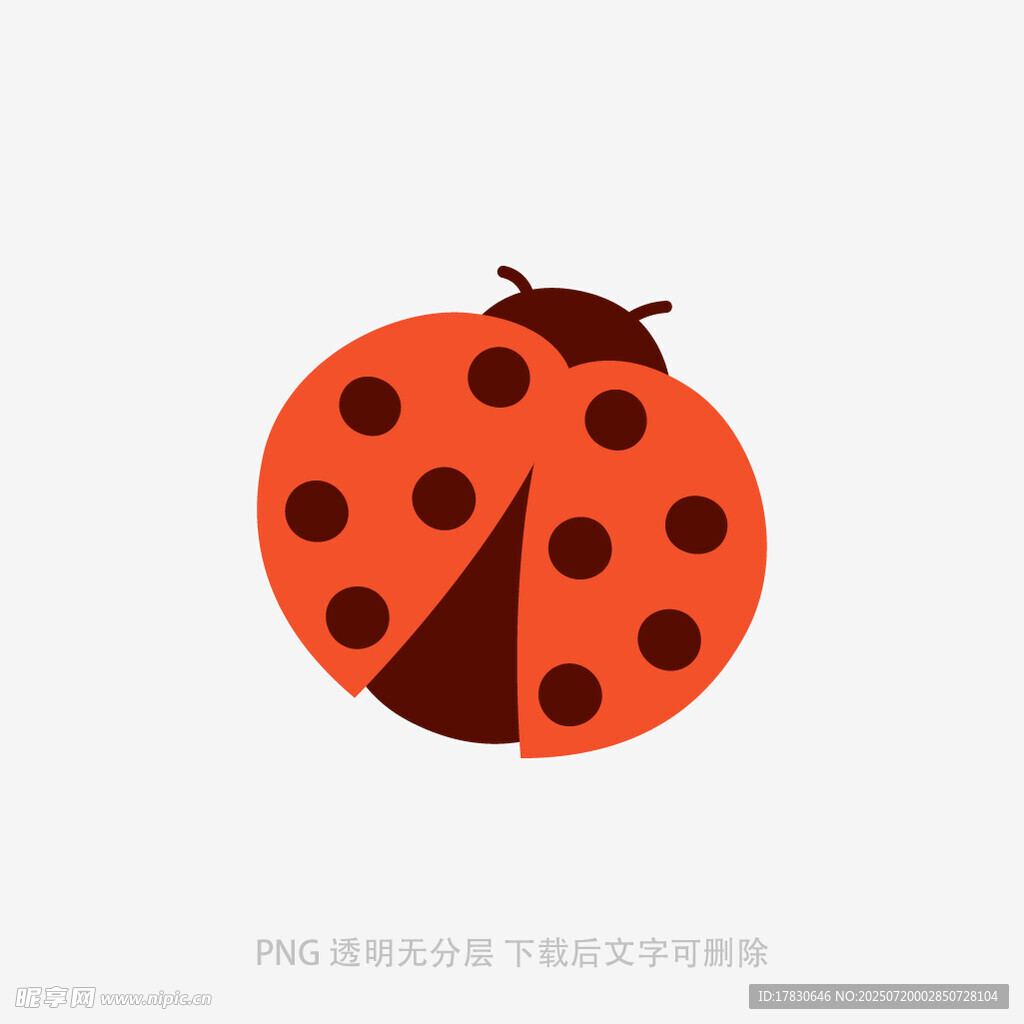 可爱瓢虫插画