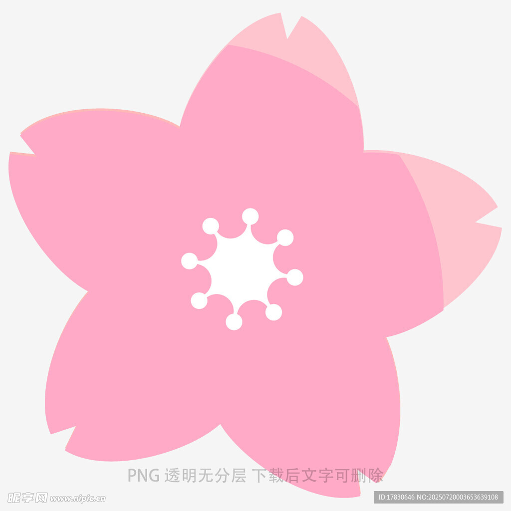 粉色樱花花朵图案