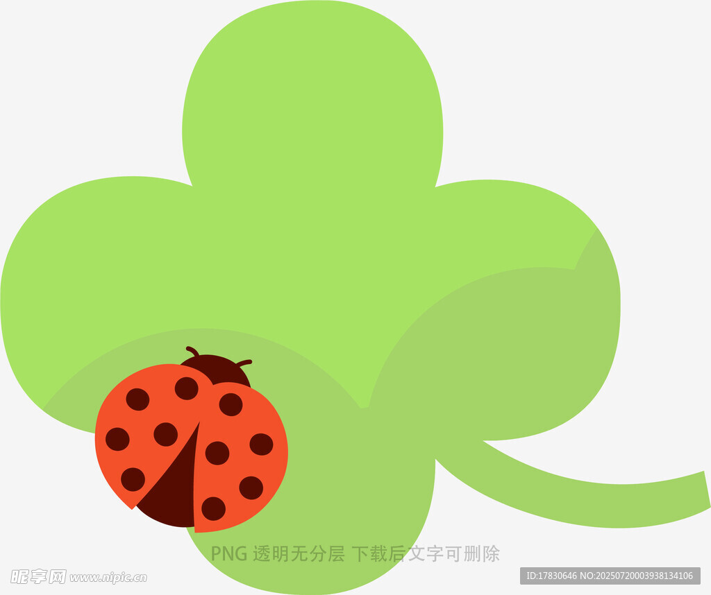 三叶草上的瓢虫