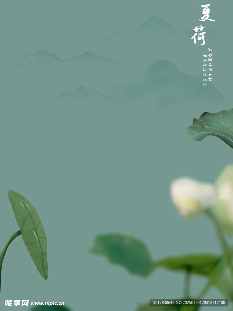 夏日荷塘清新景致