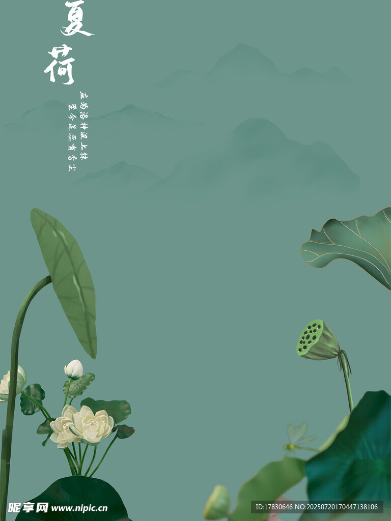 夏日荷塘清雅景致