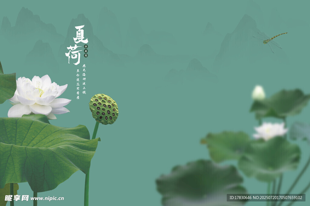 夏荷拍照模板