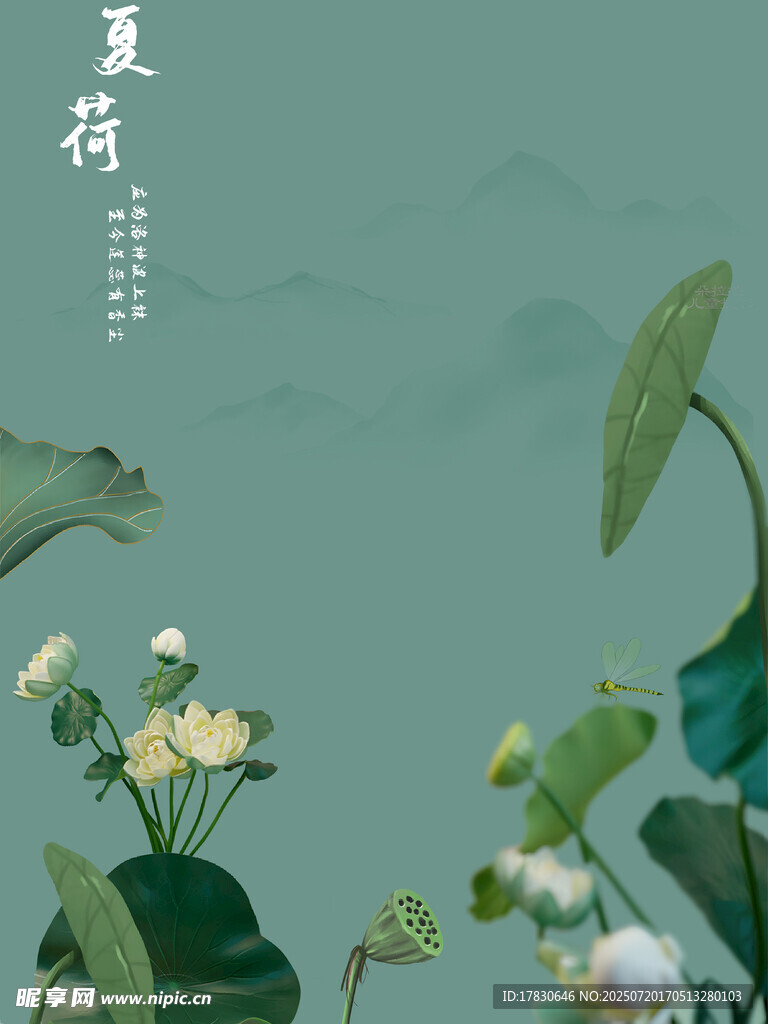 夏日荷韵