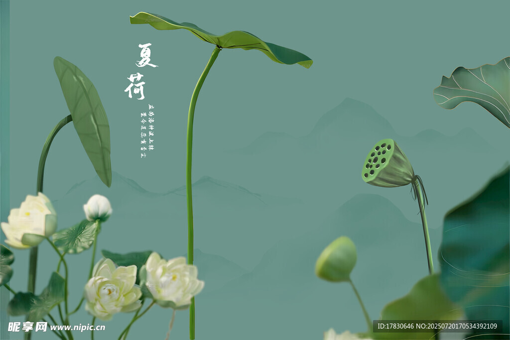 清新荷花图