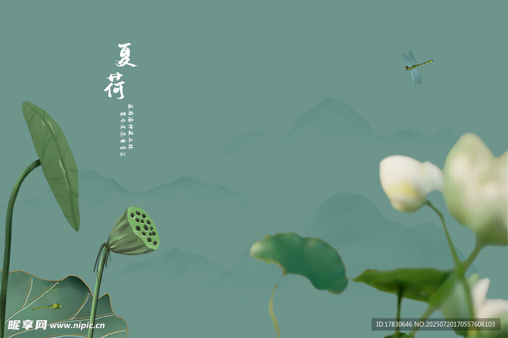 夏日荷塘景致