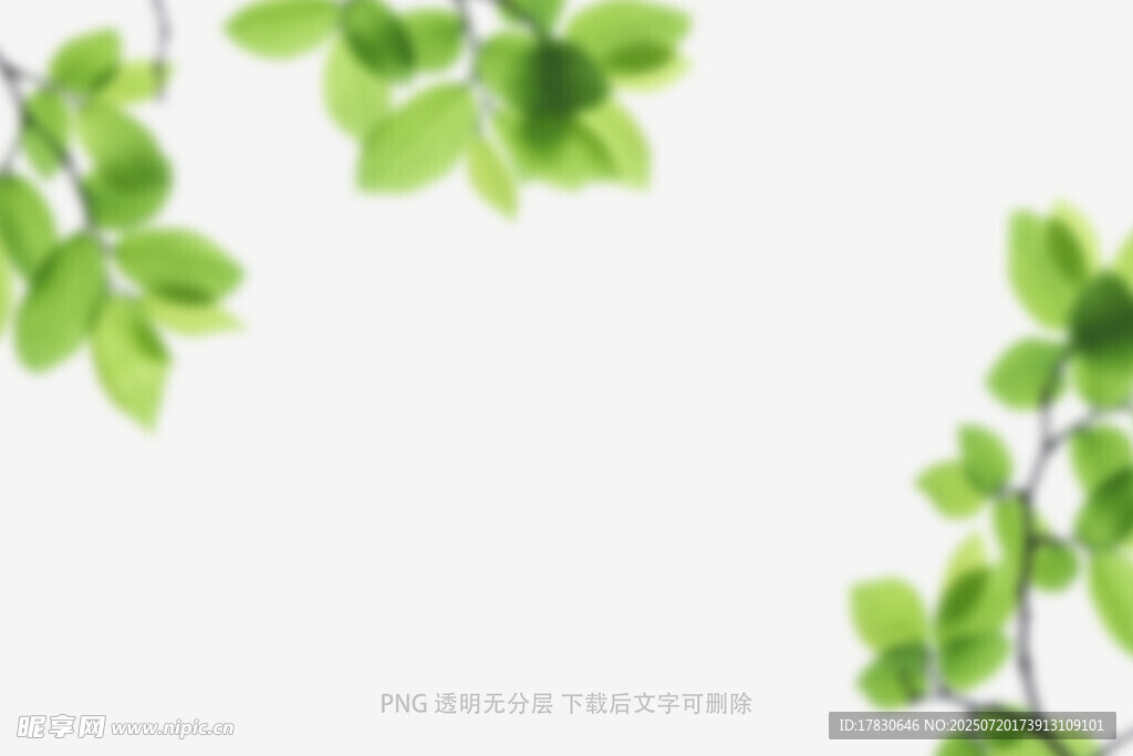 树叶虚化前景