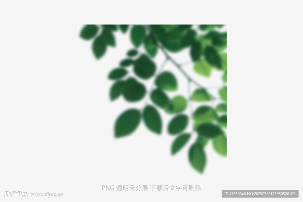 树叶虚化前景