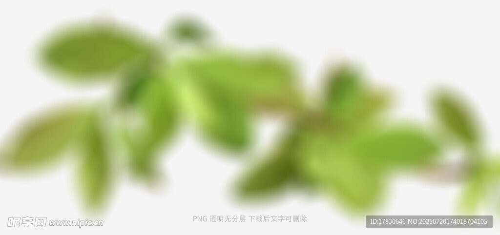 树叶虚化前景