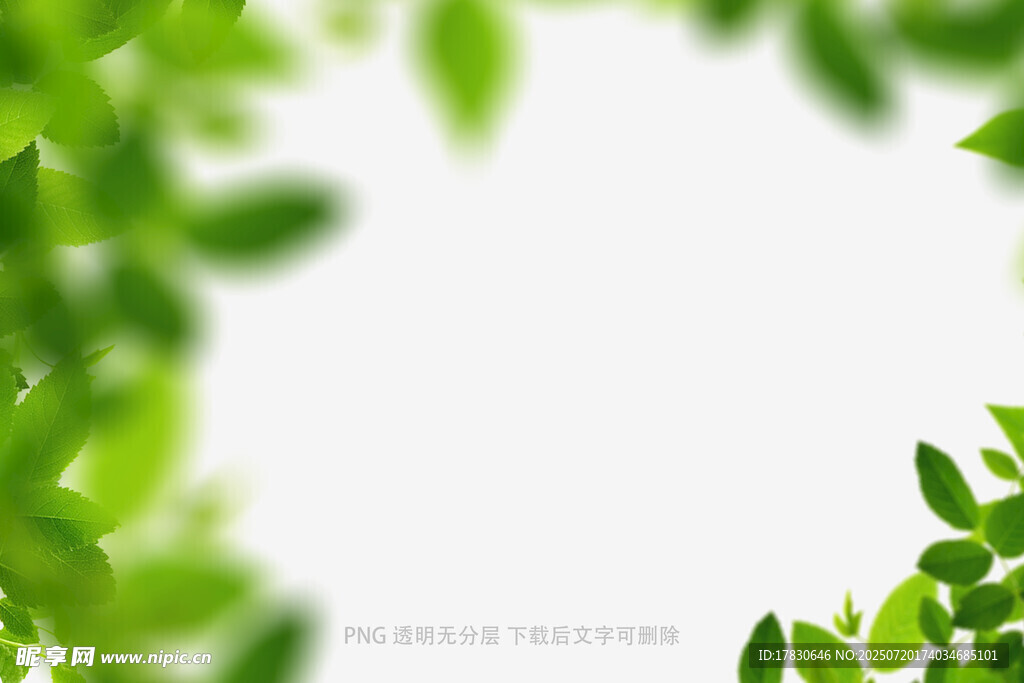 树叶虚化前景