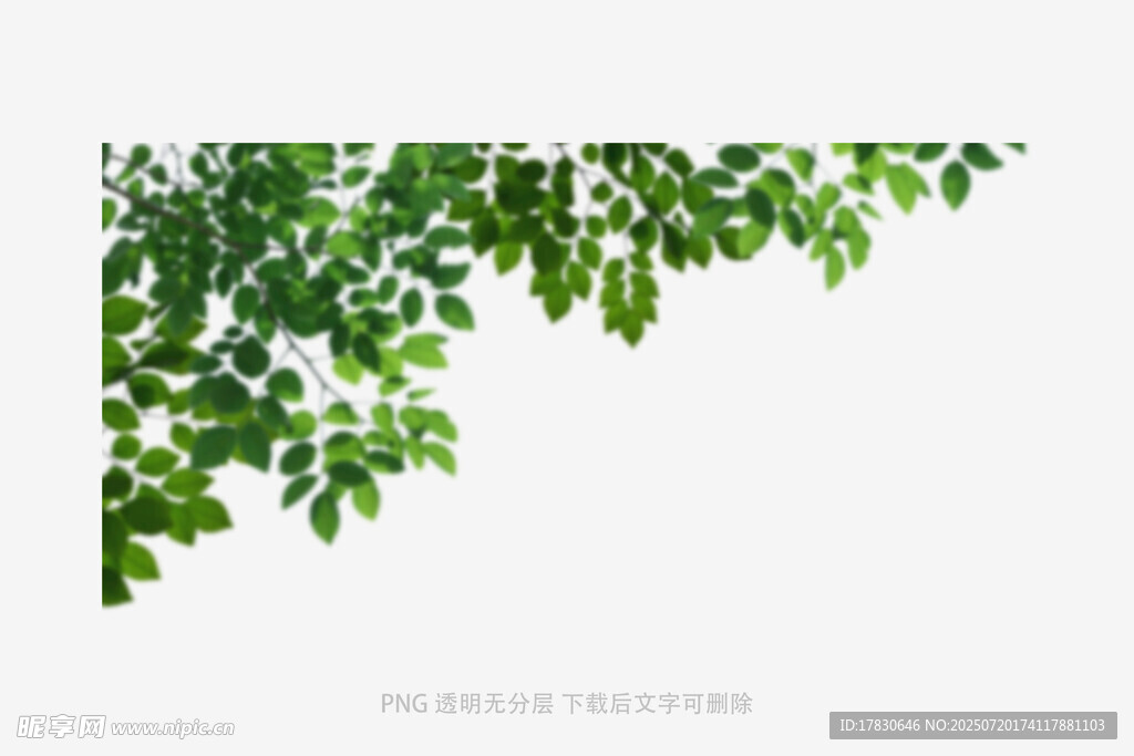 树叶虚化前景