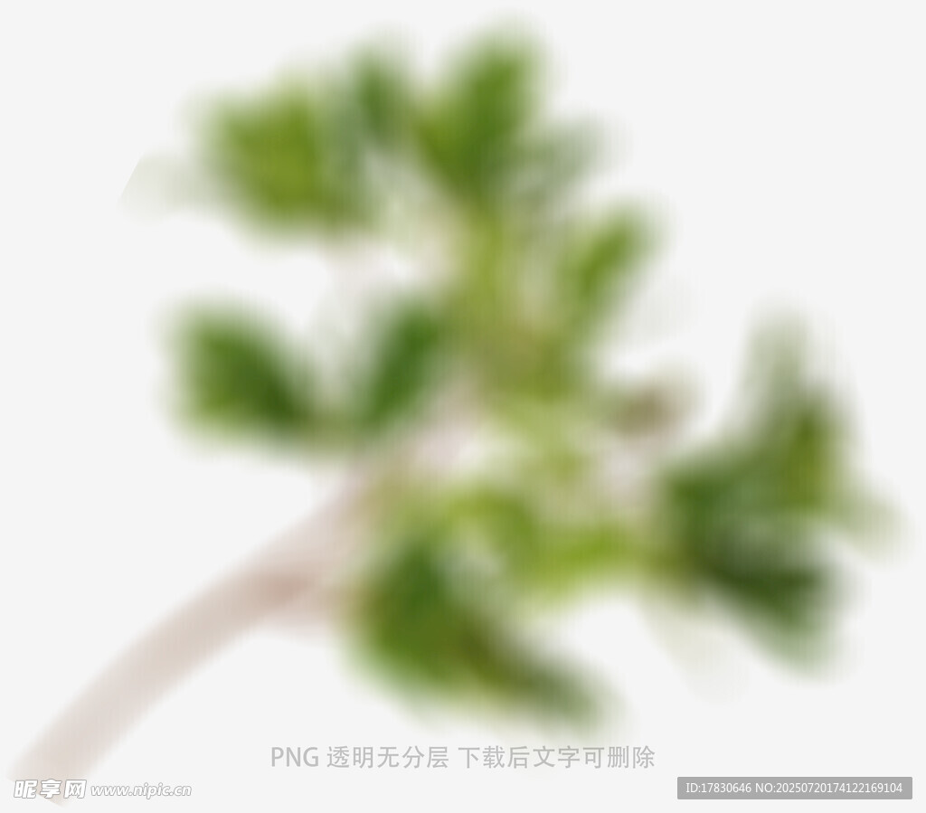 树叶虚化前景