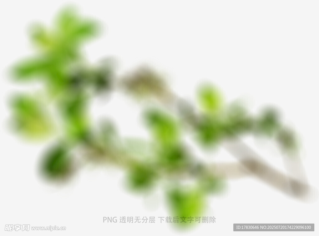 树叶虚化前景