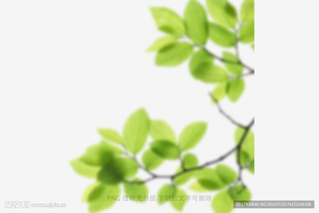 树叶虚化前景