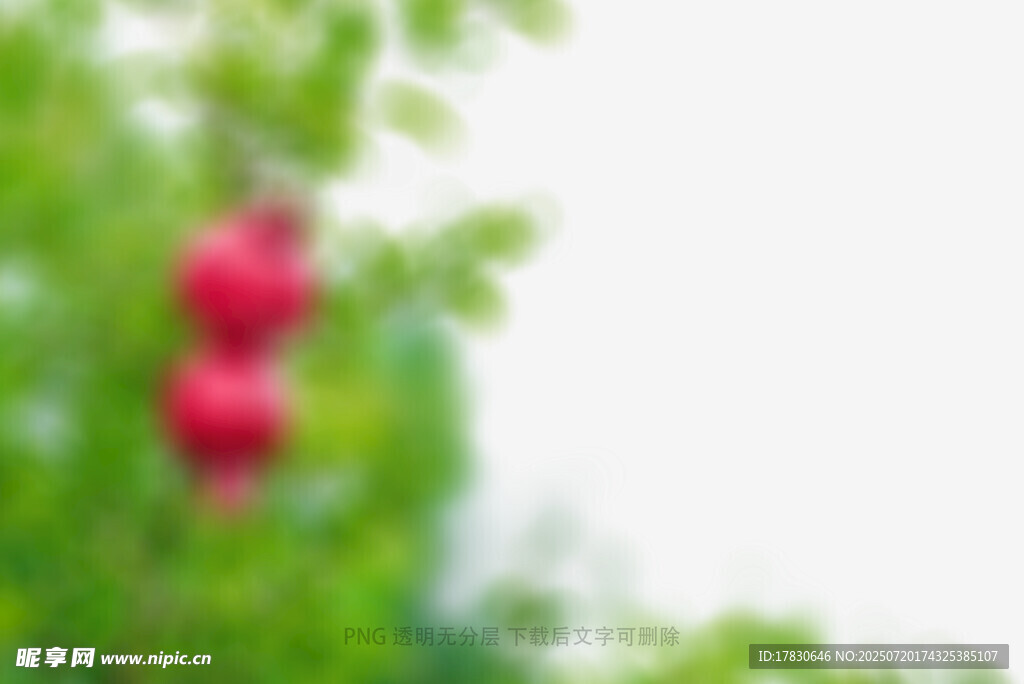 树叶虚化前景